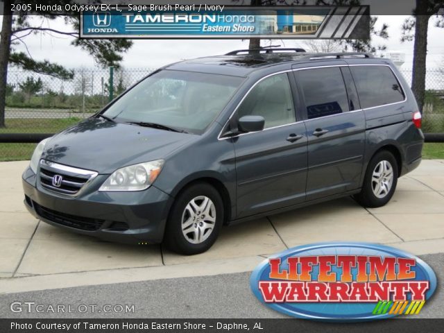 2005 Honda Odyssey EX-L in Sage Brush Pearl