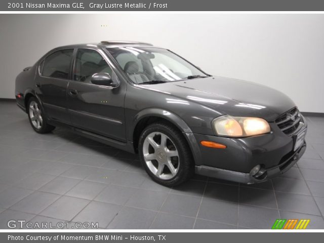 2001 Nissan Maxima GLE in Gray Lustre Metallic