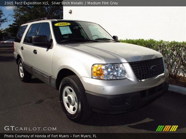 2005 Ford Expedition XLS in Silver Birch Metallic
