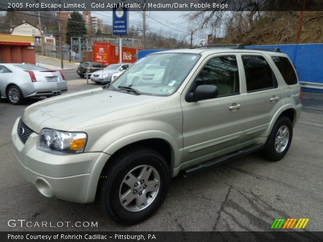 2005 Ford Escape Limited in Gold Ash Metallic