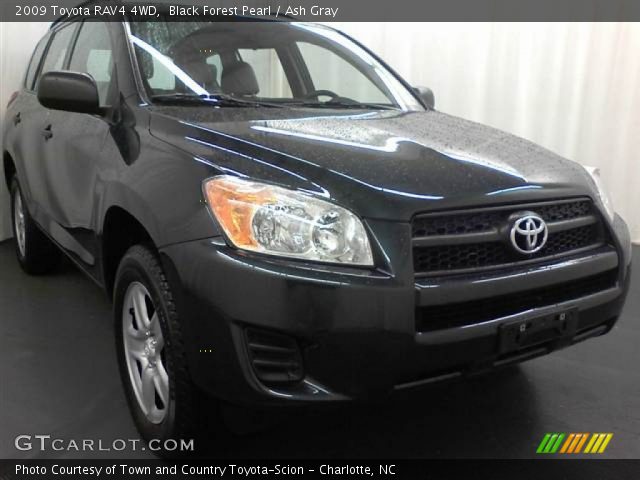 2009 Toyota RAV4 4WD in Black Forest Pearl