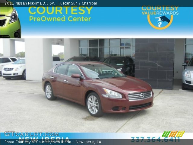 2011 Nissan Maxima 3.5 SV in Tuscan Sun