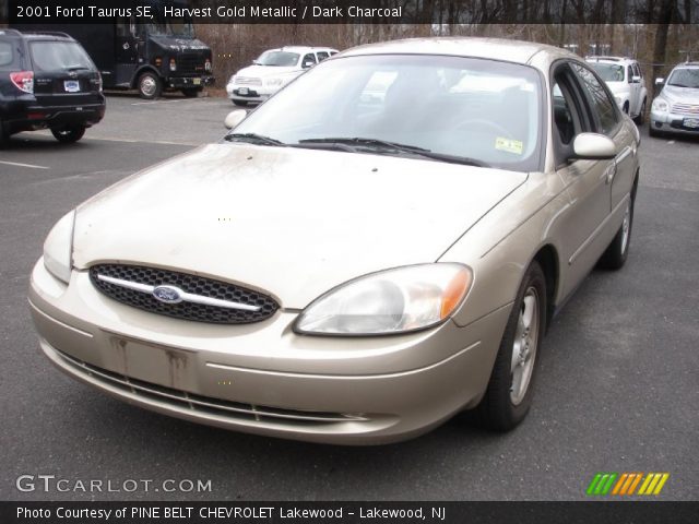 2001 Ford Taurus SE in Harvest Gold Metallic