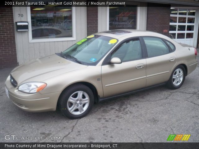 2001 Ford Taurus SEL in Harvest Gold Metallic