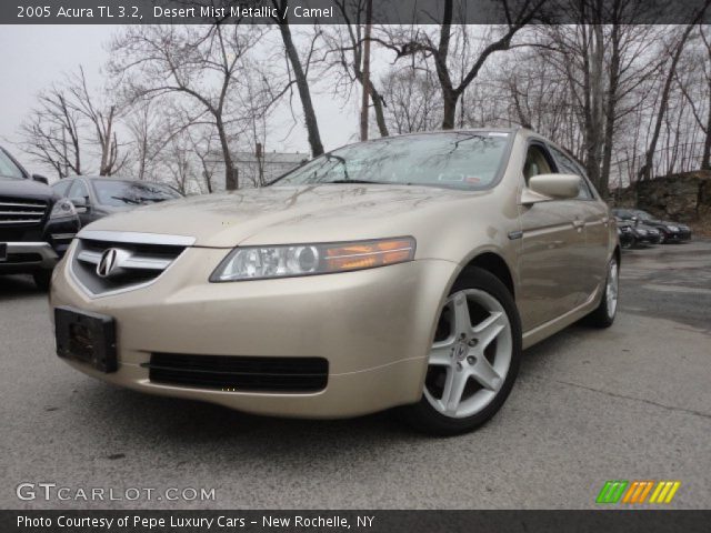 2005 Acura TL 3.2 in Desert Mist Metallic