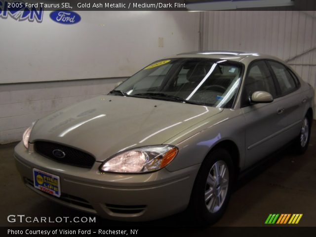 2005 Ford Taurus SEL in Gold Ash Metallic