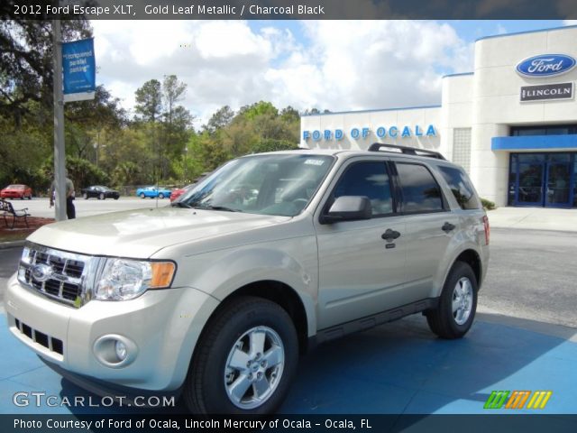 2012 Ford Escape XLT in Gold Leaf Metallic