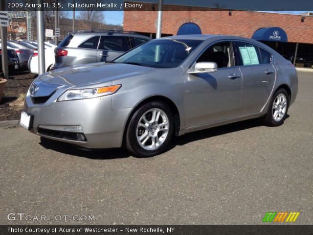2009 Acura TL 3.5 in Palladium Metallic