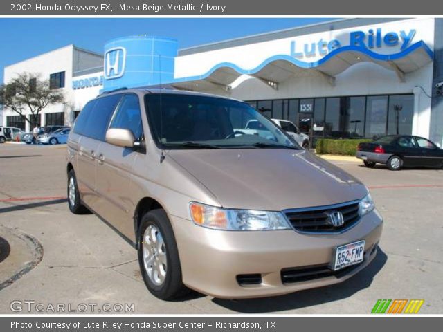 2002 Honda Odyssey EX in Mesa Beige Metallic