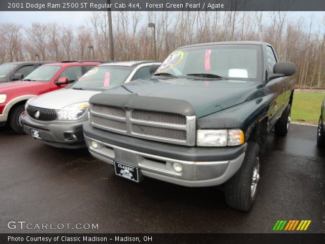 2001 Dodge Ram 2500 ST Regular Cab 4x4 in Forest Green Pearl