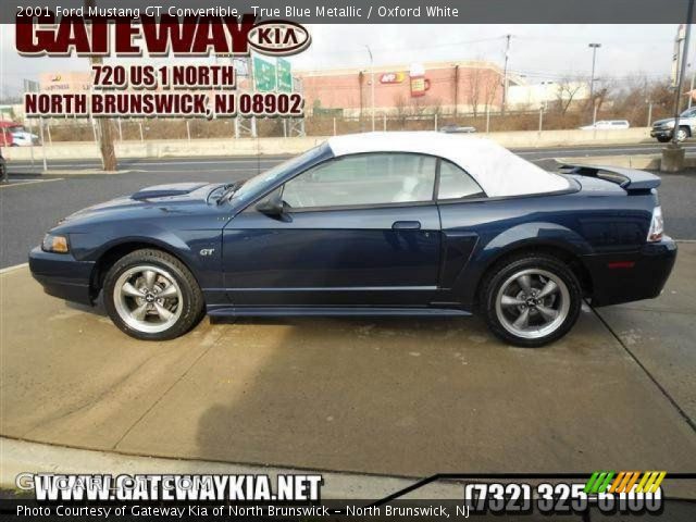 2001 Ford Mustang GT Convertible in True Blue Metallic