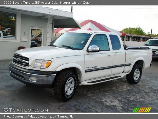 2002 Toyota Tundra SR5 Access Cab in Natural White