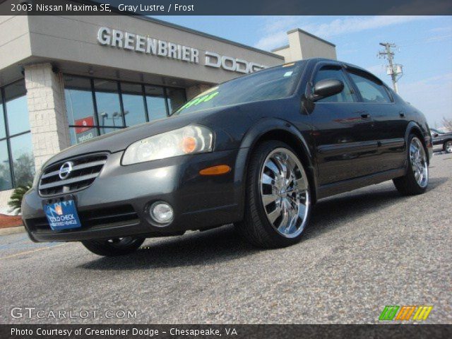 2003 Nissan Maxima SE in Gray Lustre