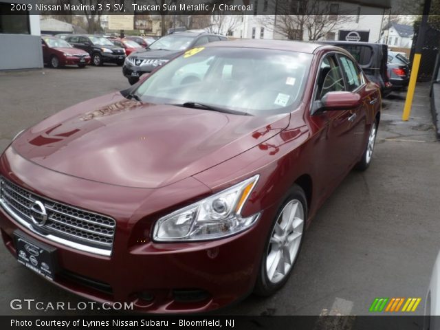 2009 Nissan Maxima 3.5 SV in Tuscan Sun Metallic