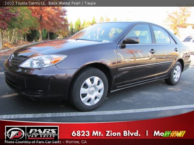 2002 Toyota Camry LE in Black Walnut Pearl