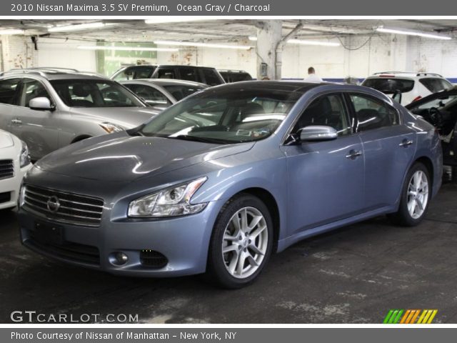 2010 Nissan Maxima 3.5 SV Premium in Ocean Gray
