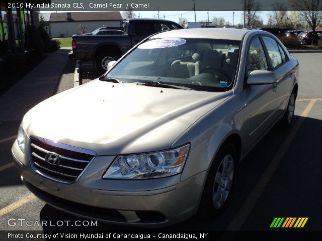 2010 Hyundai Sonata GLS in Camel Pearl
