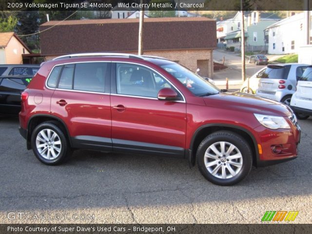 2009 Volkswagen Tiguan SE 4Motion in Wild Cherry Metallic