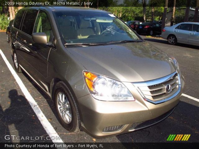 2009 Honda Odyssey EX in Mocha Metallic