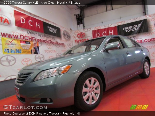 2009 Toyota Camry XLE in Aloe Green Metallic