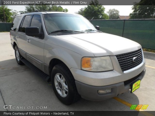 2003 Ford Expedition XLT in Silver Birch Metallic