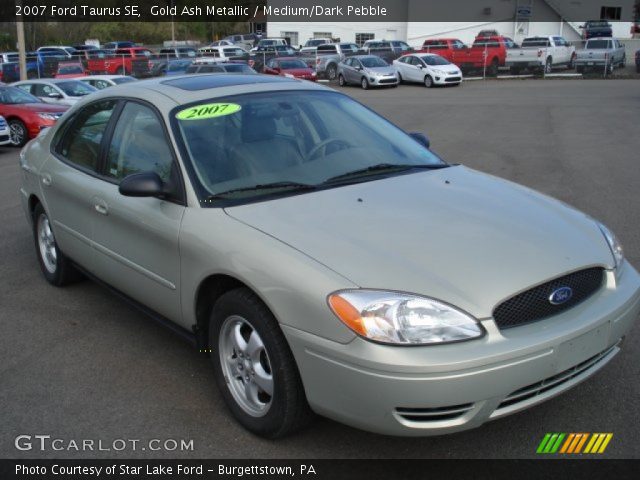 2007 Ford Taurus SE in Gold Ash Metallic