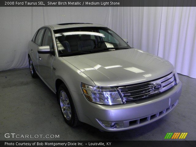 2008 Ford Taurus SEL in Silver Birch Metallic