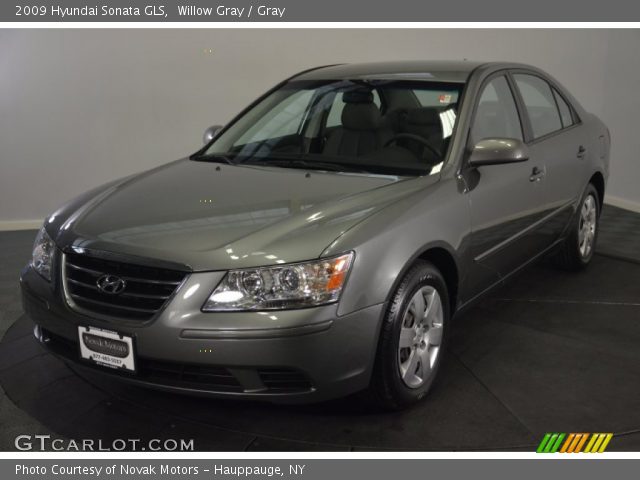 2009 Hyundai Sonata GLS in Willow Gray