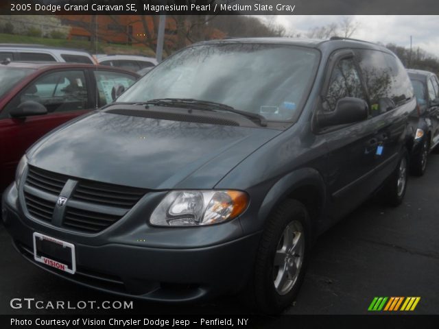 2005 Dodge Grand Caravan SE in Magnesium Pearl