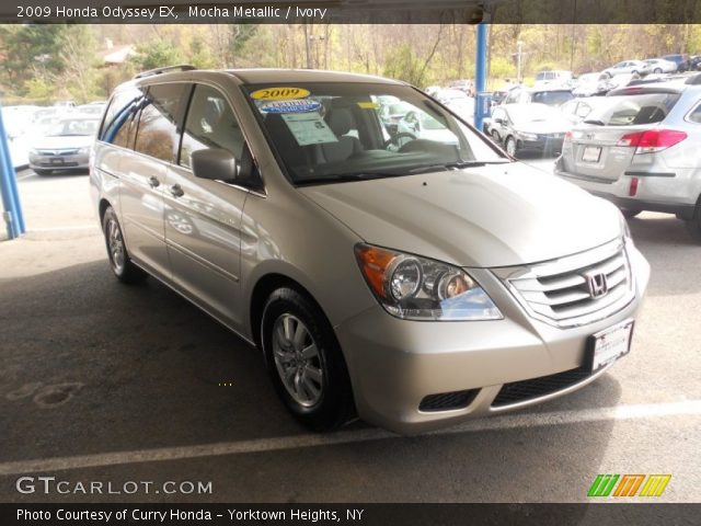 2009 Honda Odyssey EX in Mocha Metallic