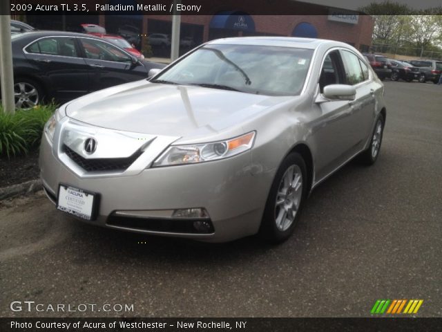 2009 Acura TL 3.5 in Palladium Metallic