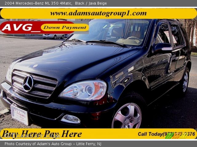 2004 Mercedes-Benz ML 350 4Matic in Black