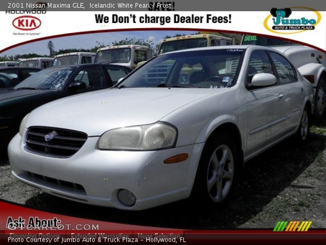 2001 Nissan Maxima GLE in Icelandic White Pearl