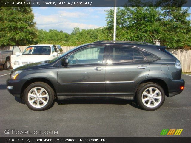 2009 Lexus RX 350 in Smokey Granite