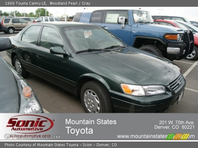 1999 Toyota Camry LE in Woodland Pearl