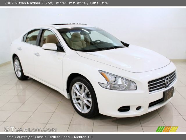 2009 Nissan Maxima 3.5 SV in Winter Frost White