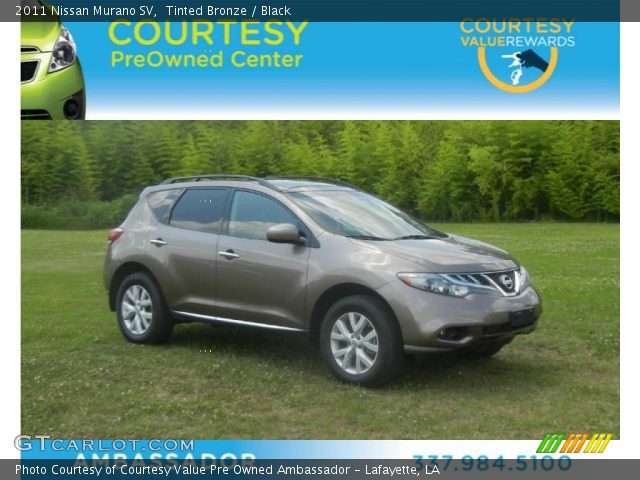 2011 Nissan Murano SV in Tinted Bronze