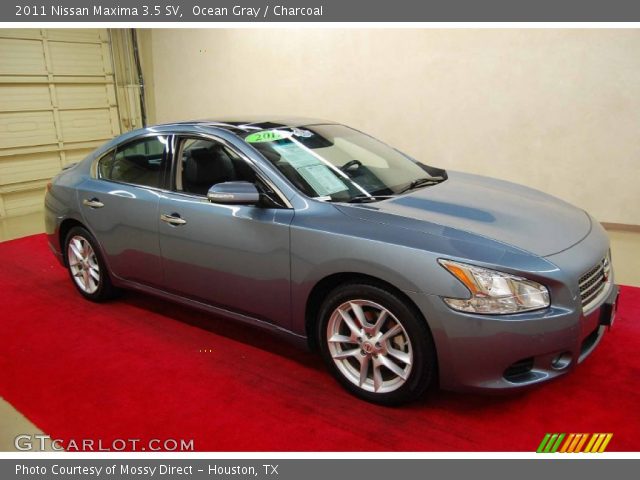 2011 Nissan Maxima 3.5 SV in Ocean Gray