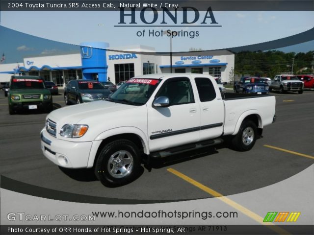 2004 Toyota Tundra SR5 Access Cab in Natural White