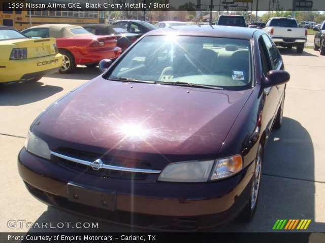 1999 Nissan altima black cherry #2