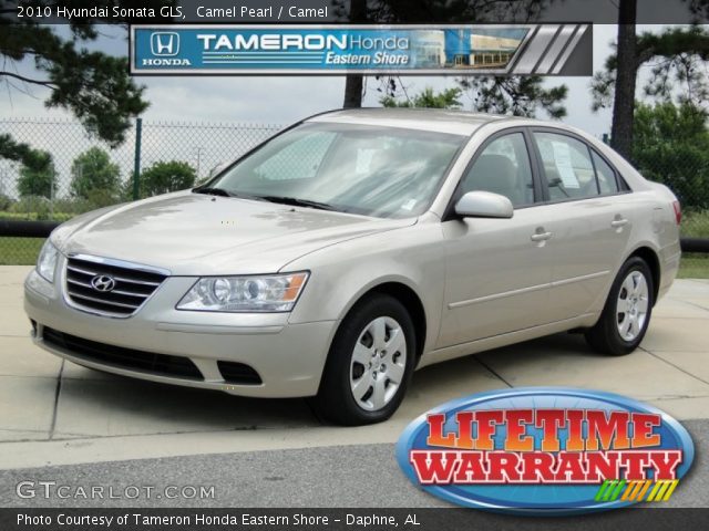 2010 Hyundai Sonata GLS in Camel Pearl