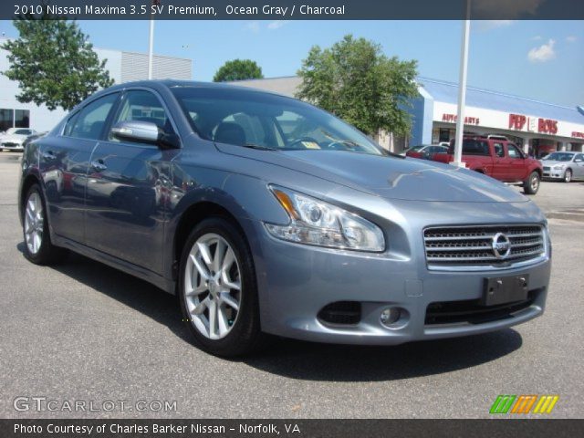 2010 Nissan Maxima 3.5 SV Premium in Ocean Gray