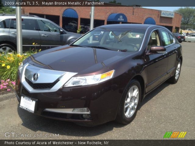 2009 Acura TL 3.5 in Mayan Bronze Metallic