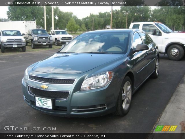2009 Chevrolet Malibu LS Sedan in Silver Moss Metallic