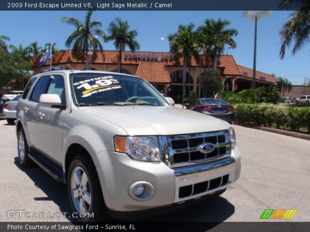 2009 Ford Escape Limited V6 in Light Sage Metallic