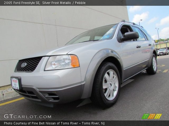 2005 Ford Freestyle SE in Silver Frost Metallic