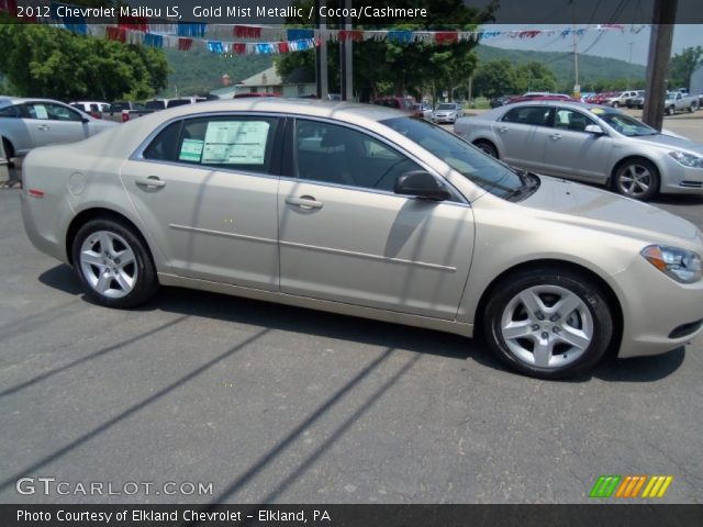 2012 Chevrolet Malibu LS in Gold Mist Metallic