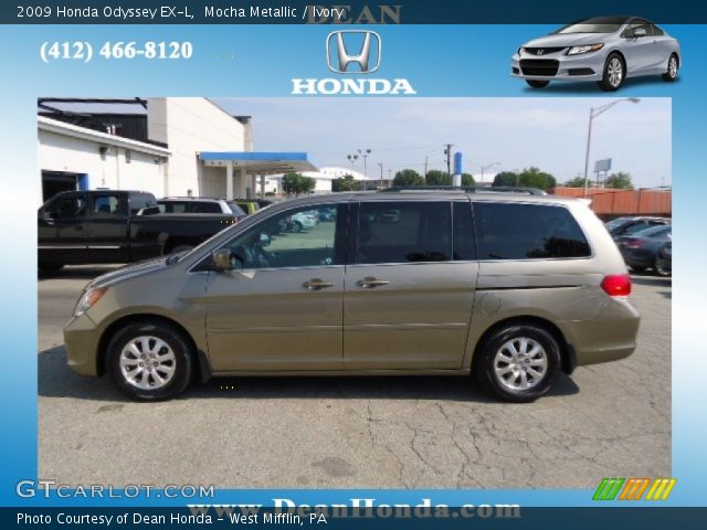 2009 Honda Odyssey EX-L in Mocha Metallic