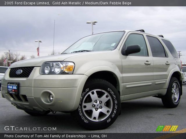 2005 Ford Escape Limited in Gold Ash Metallic