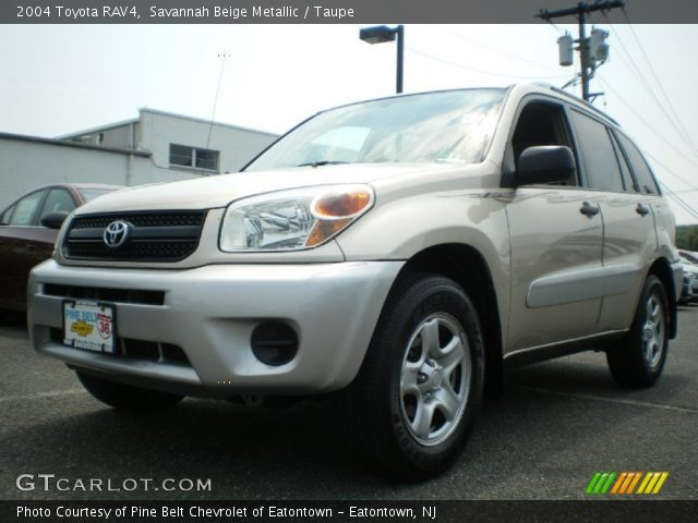 2004 Toyota RAV4  in Savannah Beige Metallic